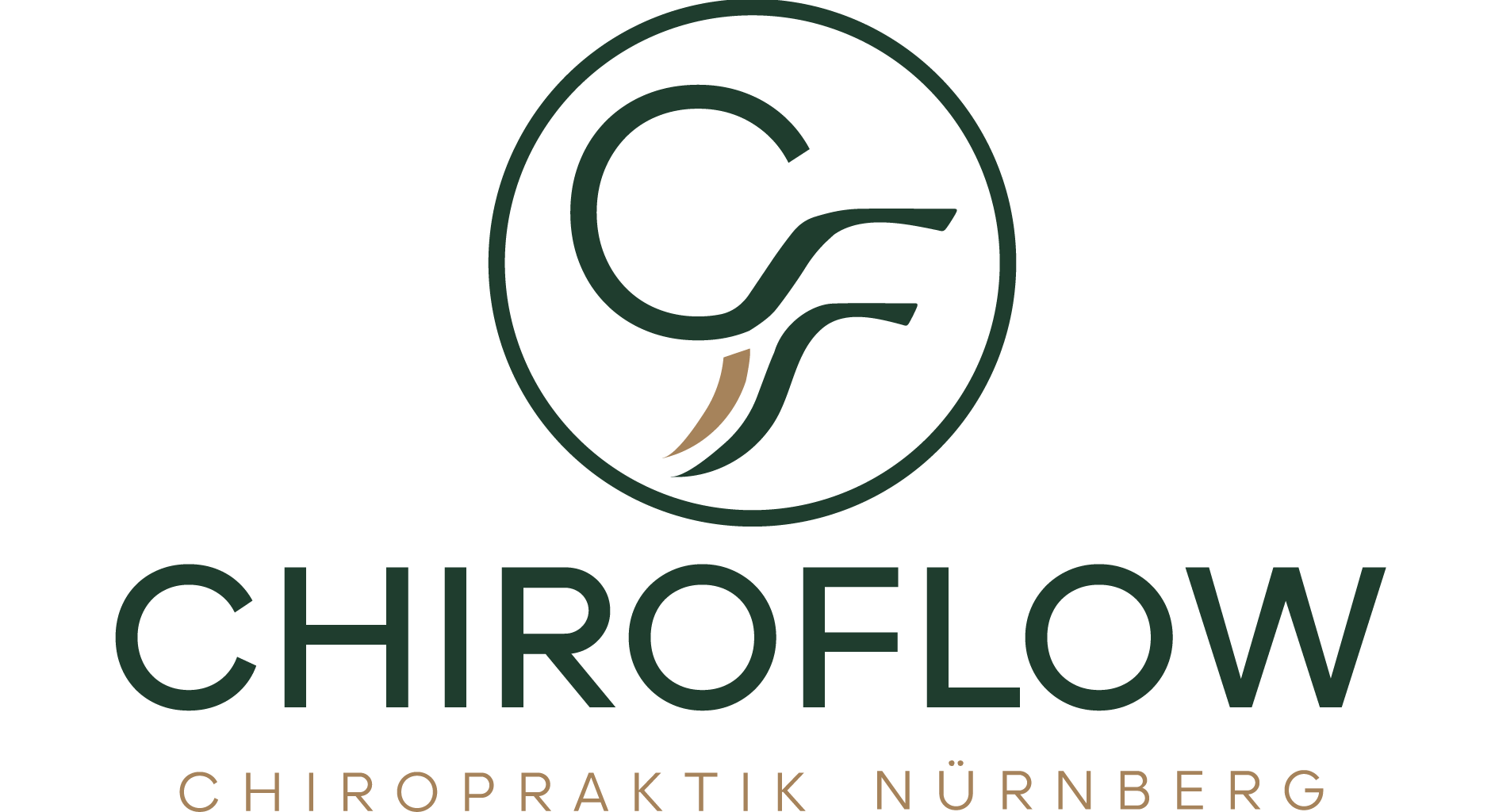 ChiroFlow